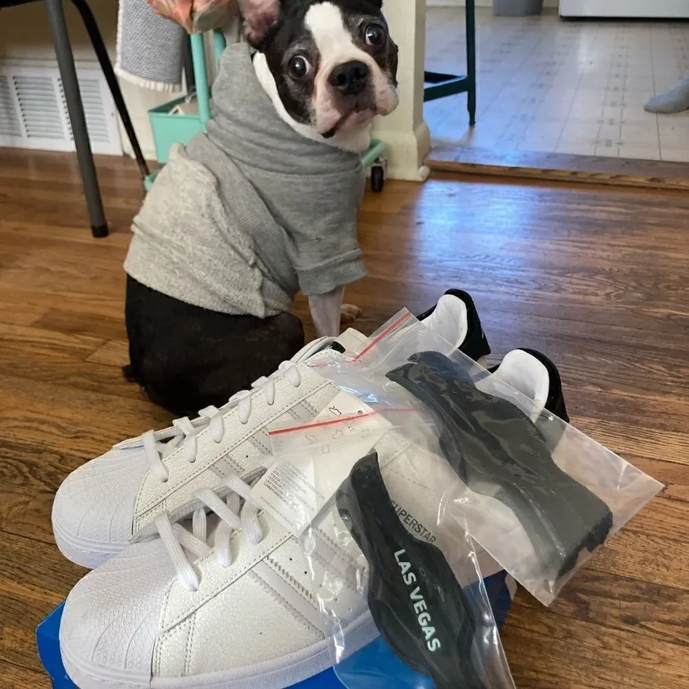 Adidas Originals Superstar City/JetSetter